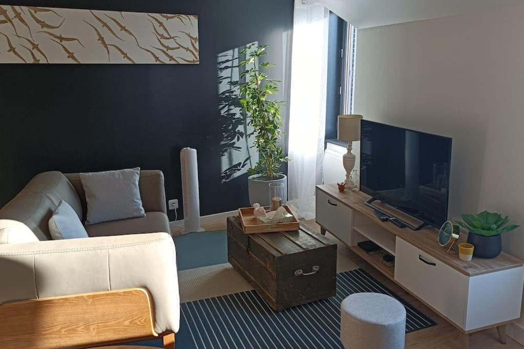 Le Kennedy 3 - Appartement Proche Hopital Шатору Екстер'єр фото